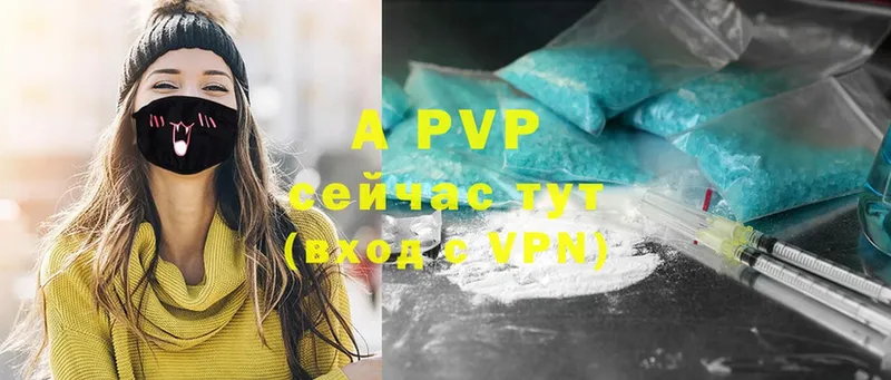 даркнет Telegram  Пудож  A-PVP VHQ 